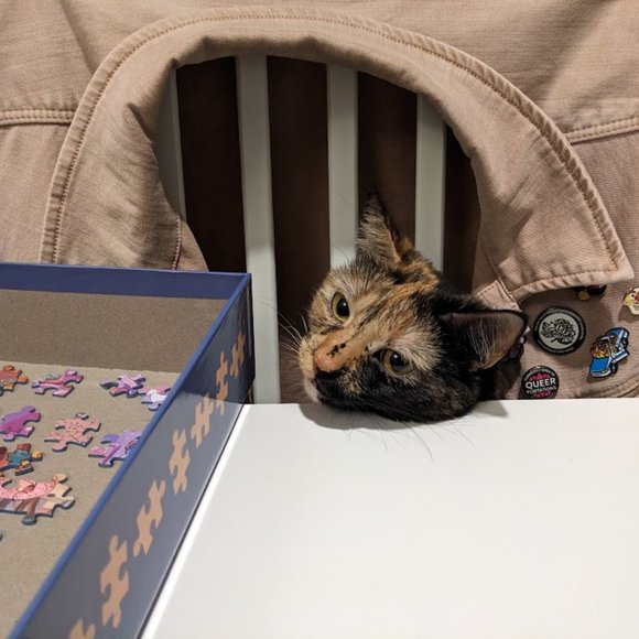 Quirky + Sensible - Picture 3 of 3